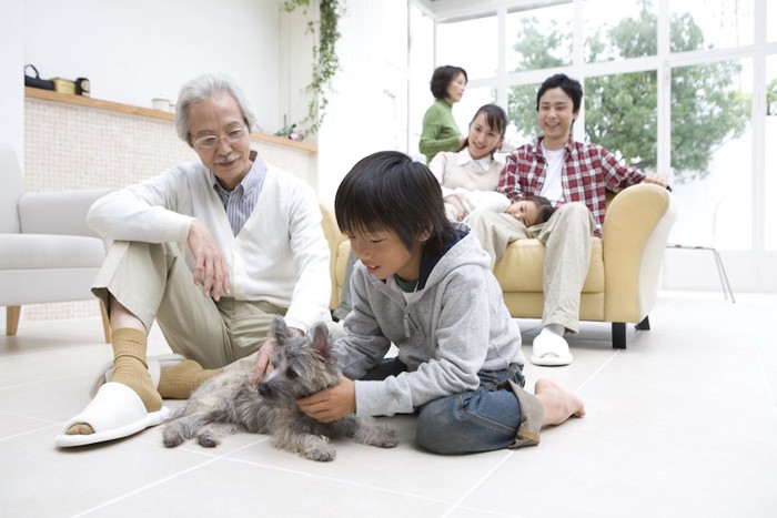 犬と遊ぶおじいちゃんと孫を見守る家族