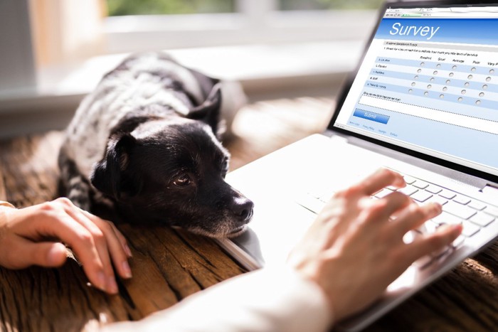 オンラインアンケートに回答する飼い主と犬