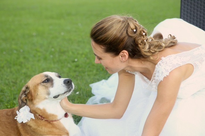 犬と花嫁