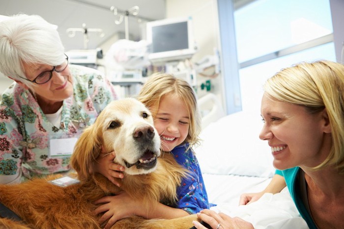 病院のベッドにいる女の子と犬