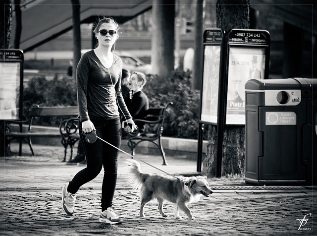 街を散歩する女性と犬