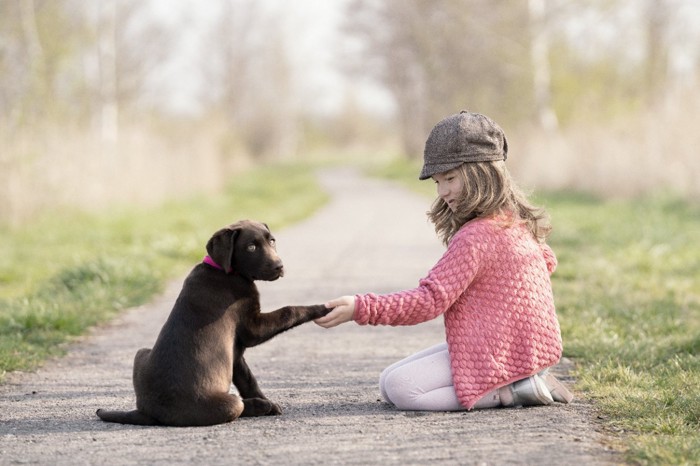 手を繋ぐ犬と子ども