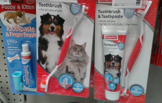 イギリスの犬用歯ブラシ