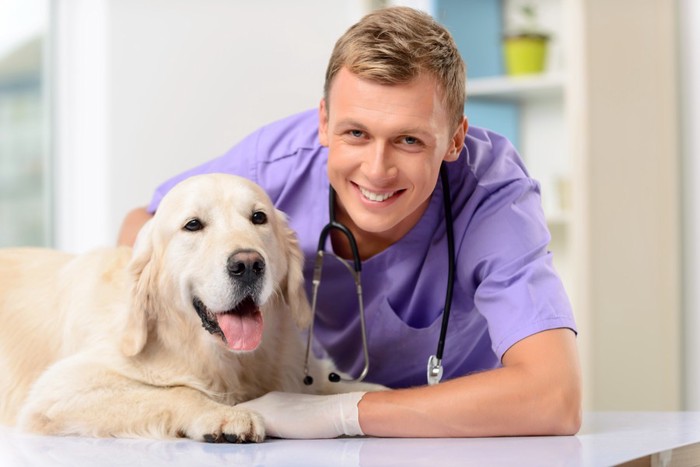 獣医と並ぶ犬