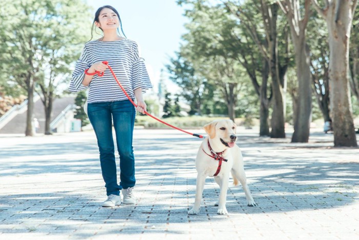 散歩する犬と見上げる女性