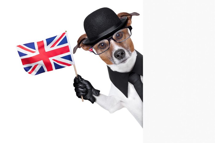 イギリス国旗と犬のイラスト
