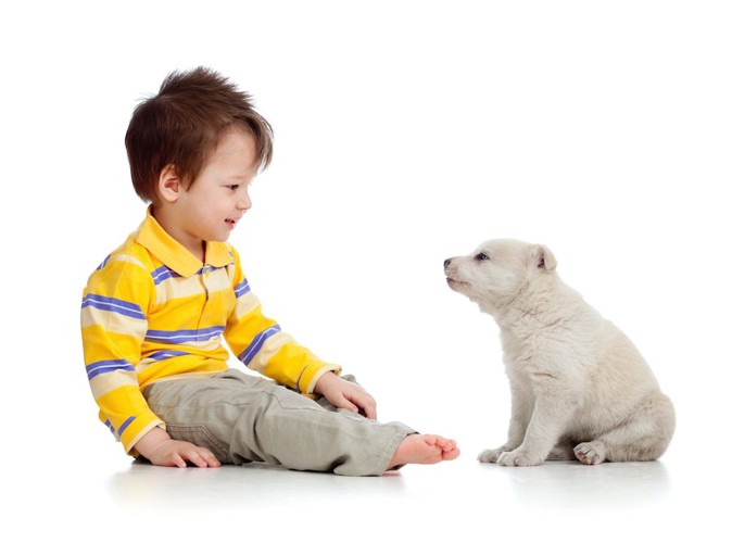 小さな子供と向き合う白い子犬