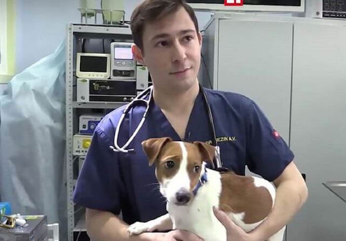 子犬と獣医師