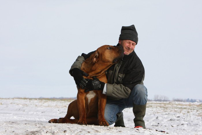 土佐犬と抱き合う男性の写真
