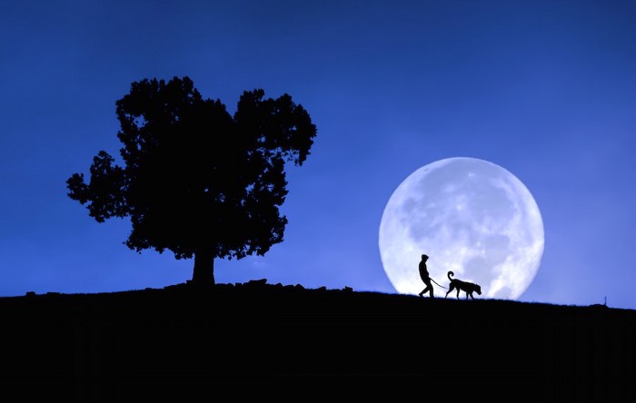 月夜に歩く人と犬のシルエット