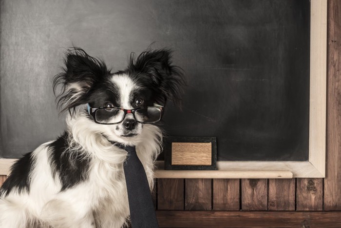 ネクタイと眼鏡をした犬
