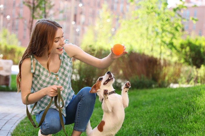 ボールで遊ぶ犬と女性