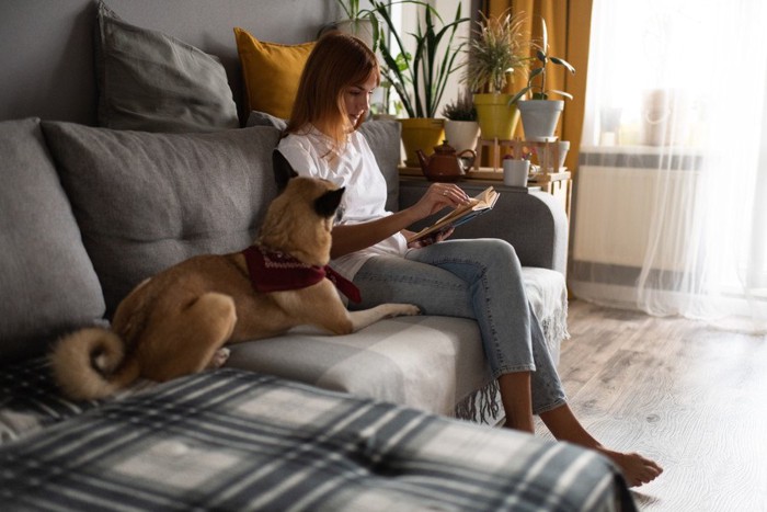 本を読む女性とそばに座る犬
