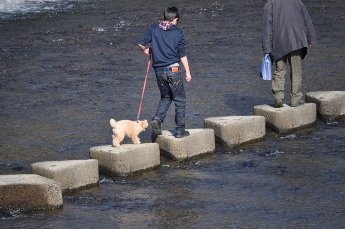 川を渡る飼い主さんと犬