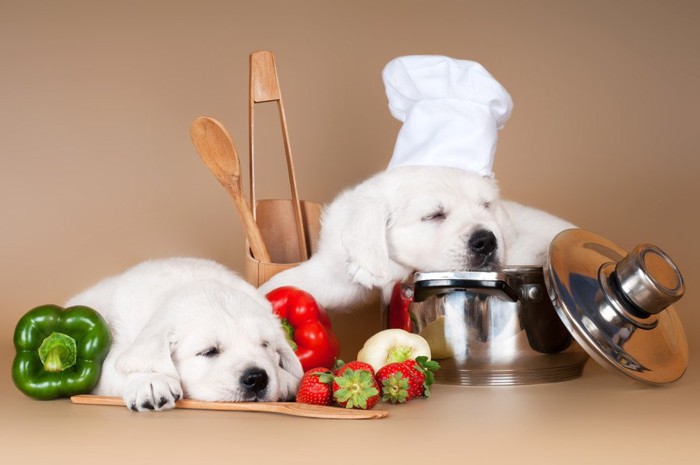 寝る犬達と鍋と食材