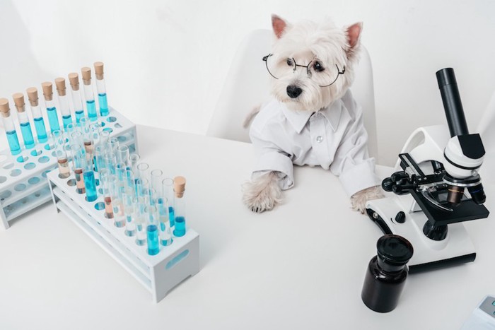 眼鏡をかけた犬と試験管と顕微鏡