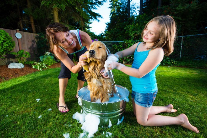 犬を洗っている母子