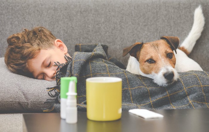 テーブルに置かれた薬と一緒に寝ている犬と子供