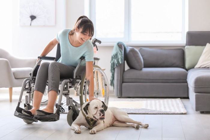車椅子の女性と介助犬