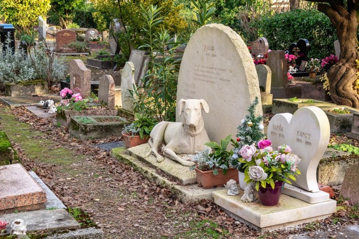 犬の墓碑があるペット墓地