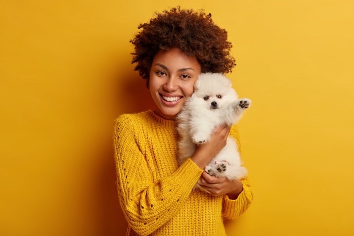 黄色い背景で子犬を抱く女性