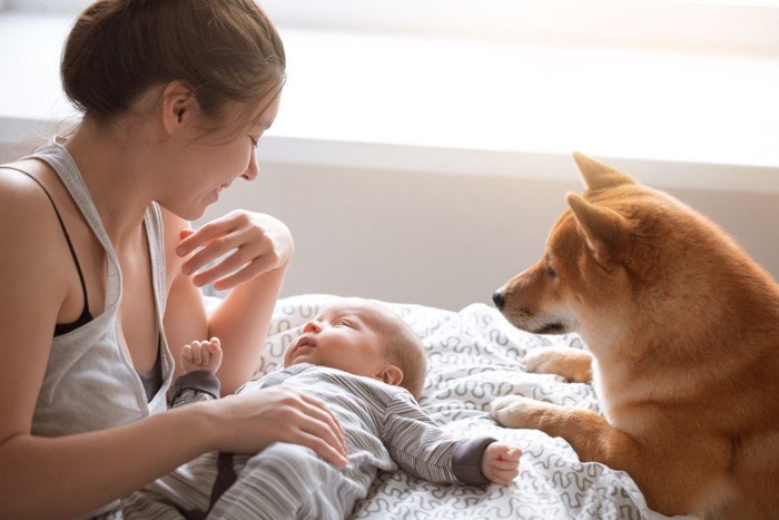 赤ちゃんをあやす女性と犬