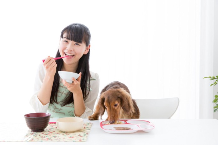 食事中の女性と犬