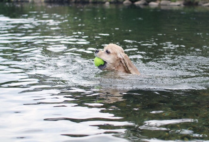 ボールがあれば泳げる、ないと溺れる三郎