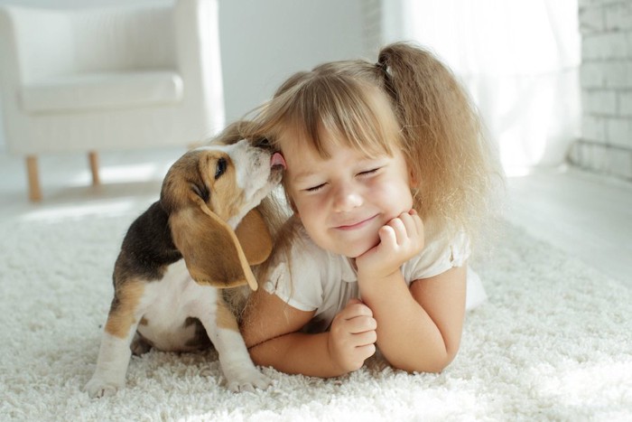 カーペットの上でくつろぐ女の子の顔を舐める子犬