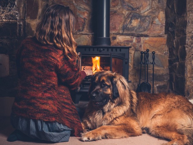 暖炉の前でくつろぐ犬と人