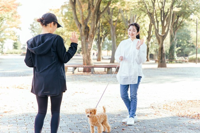 犬と散歩中に声をかける女性