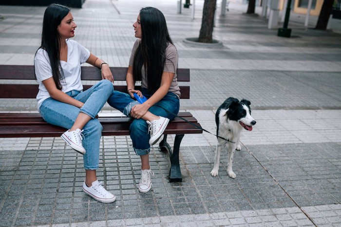 ベンチで話し込む二人の女性と待っている犬