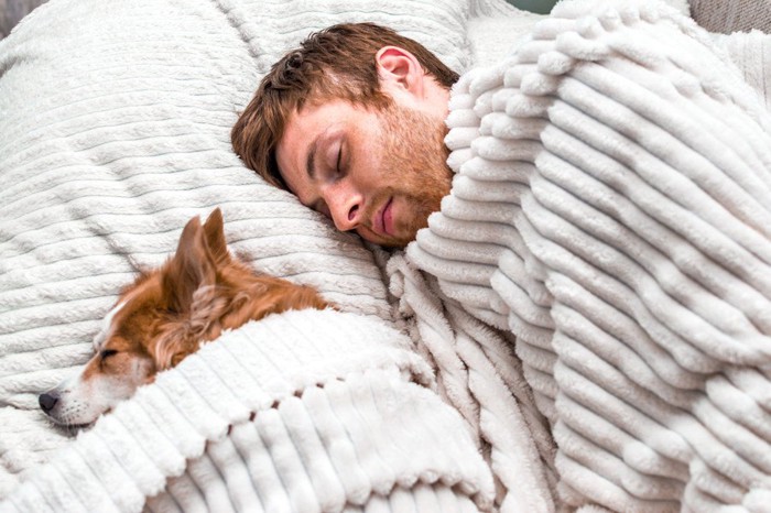 ベッドで並んで眠る犬と男性