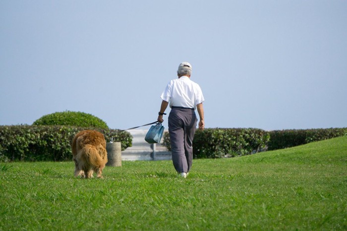 犬と散歩する老人
