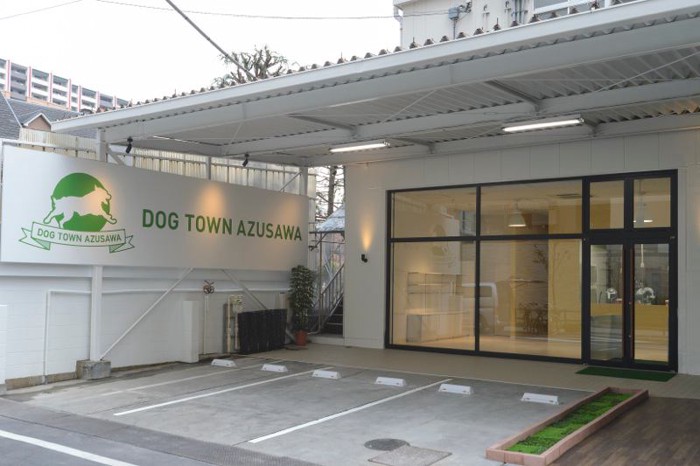 DOG TOWN AZUSAWA