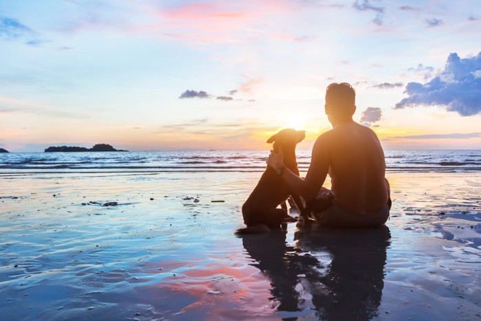 海辺で夕陽をみる人と犬