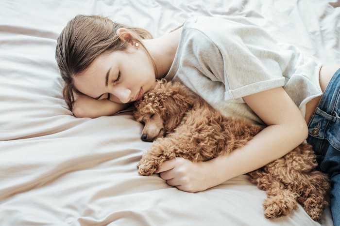 眠る女性と犬