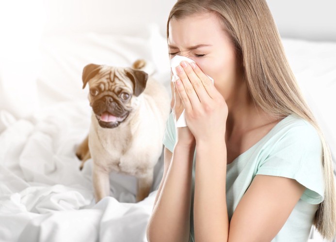 くしゃみをする女性と犬