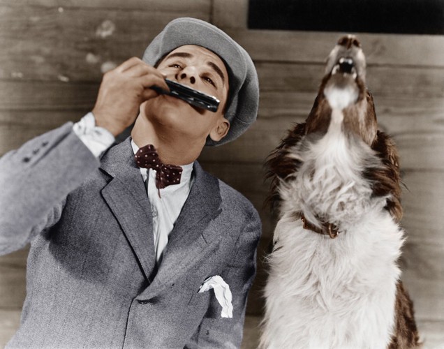 ハーモニカを吹く男性と歌う犬