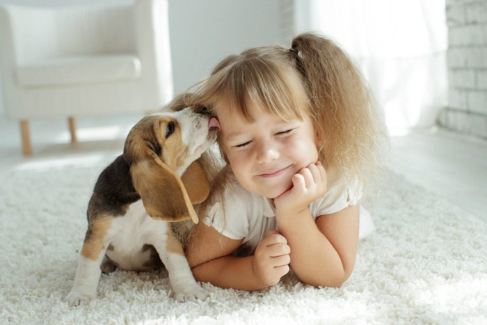 少女の顔を舐める子犬