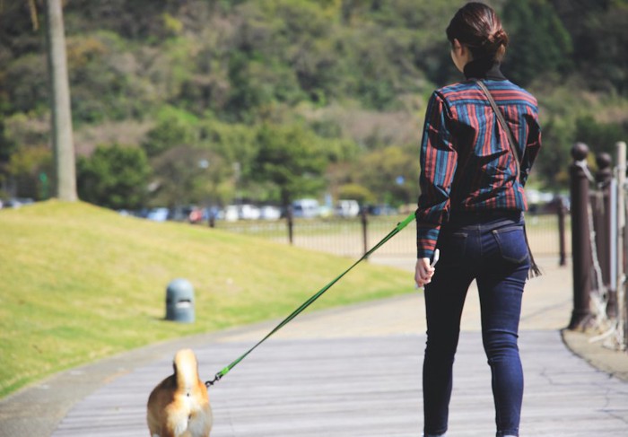 散歩する女性と犬の後ろ姿