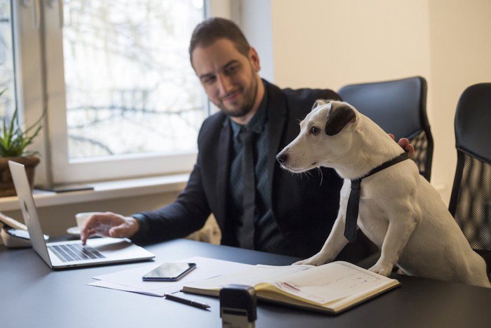 オフィスで仕事をする犬と男性