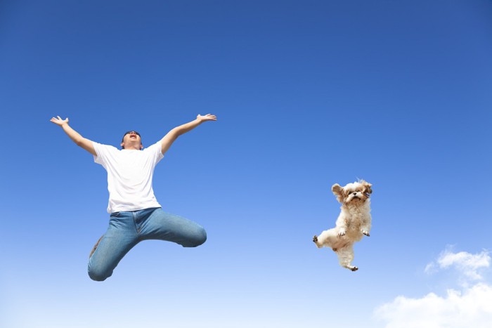 ジャンプする人間と犬
