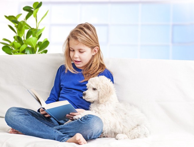 本を読む女の子と白い犬