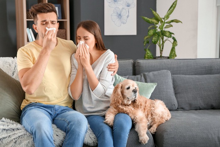 犬にアレルギー反応を起こしている人たち
