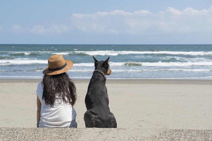 海を眺める女性と犬