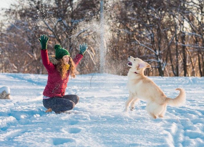 雪を投げて遊ぶ女性と犬