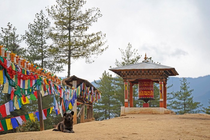 ブータンの寺院と犬