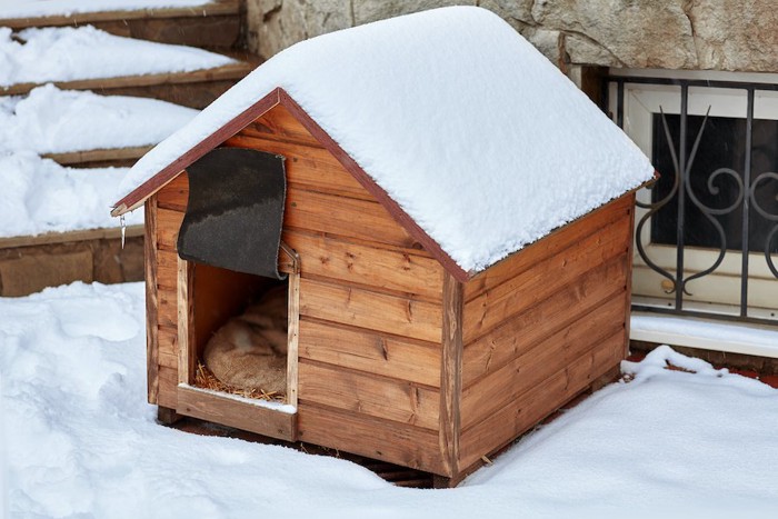 雪が積もった犬小屋の中で丸まる犬