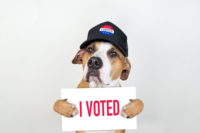 投票済みサインを持つ犬